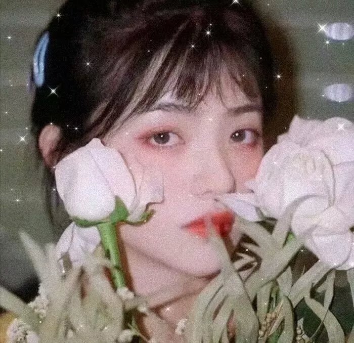 风雨送春归
